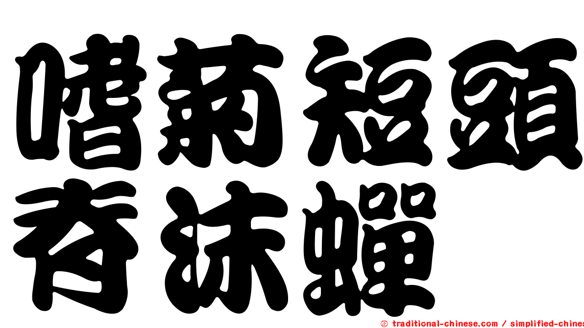 嗜菊短頭脊沫蟬
