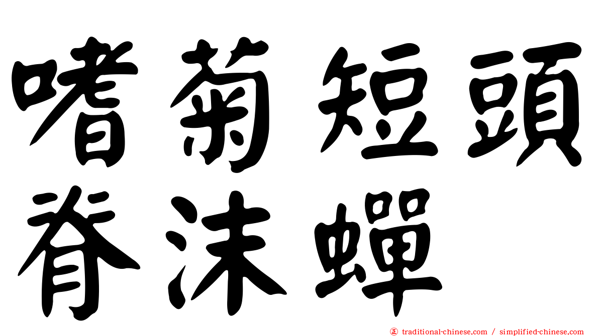 嗜菊短頭脊沫蟬