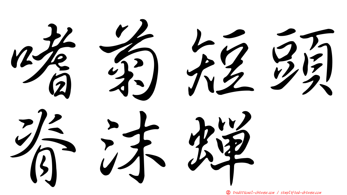嗜菊短頭脊沫蟬
