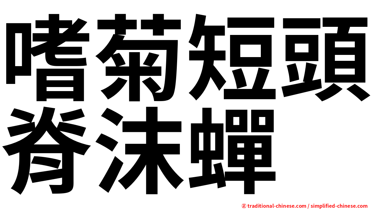 嗜菊短頭脊沫蟬