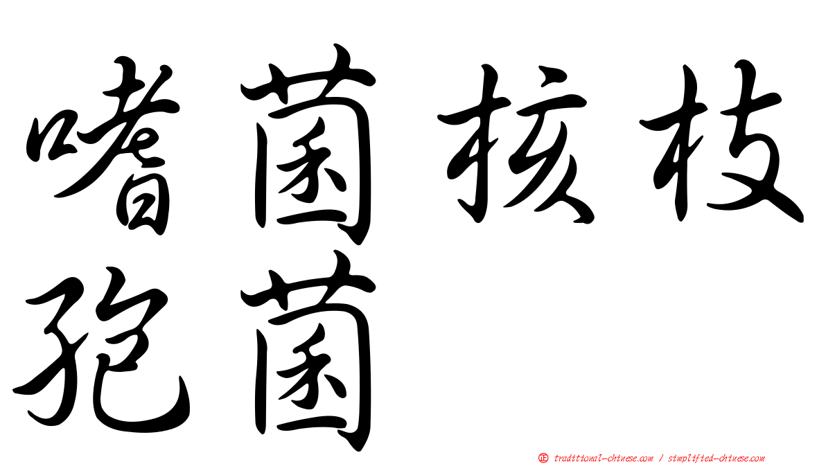 嗜菌核枝孢菌
