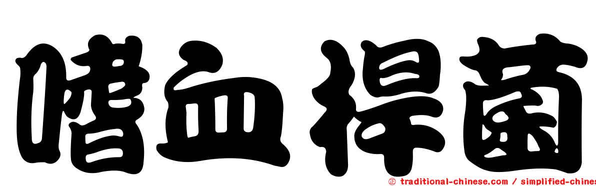嗜血桿菌