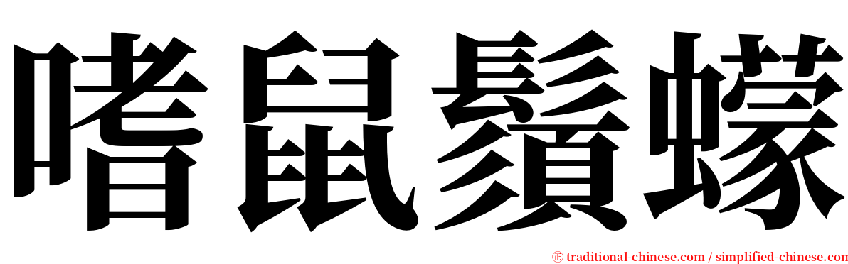 嗜鼠鬚蠓 serif font