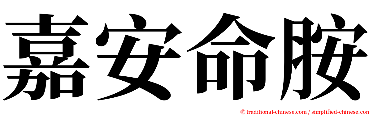 嘉安命胺 serif font