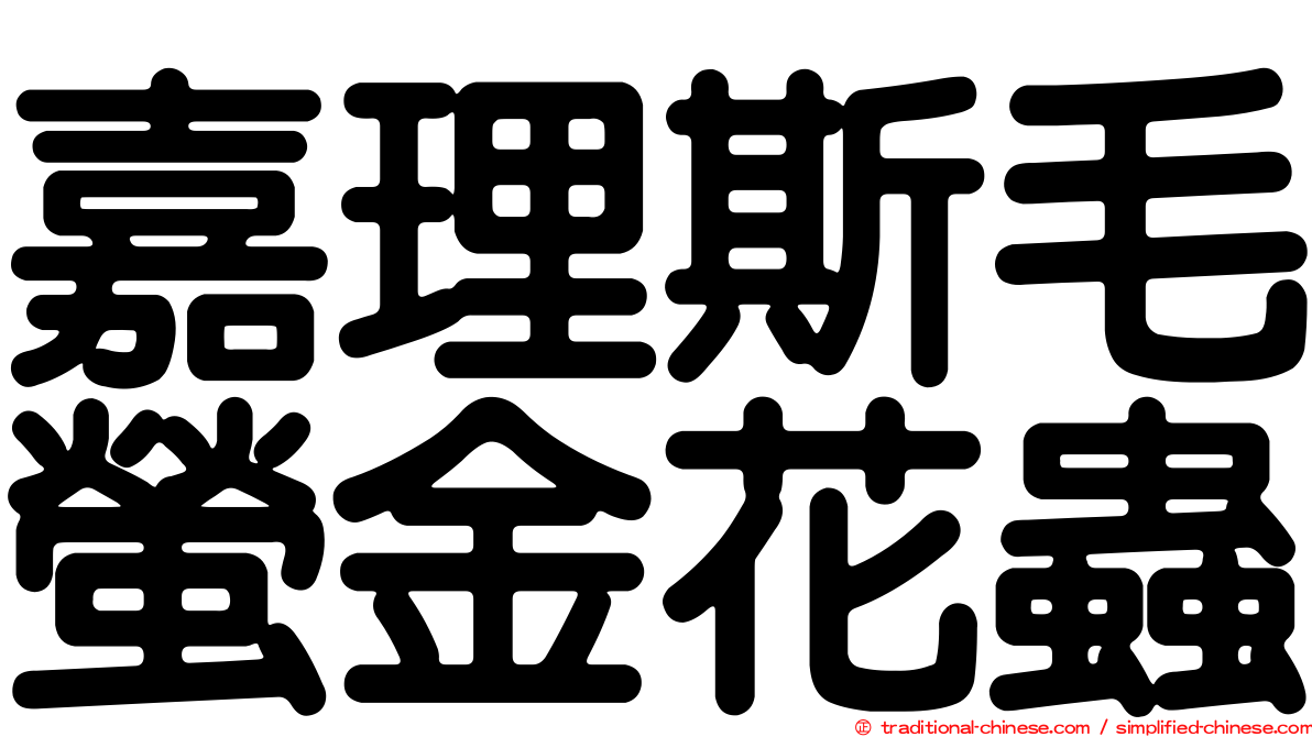 嘉理斯毛螢金花蟲