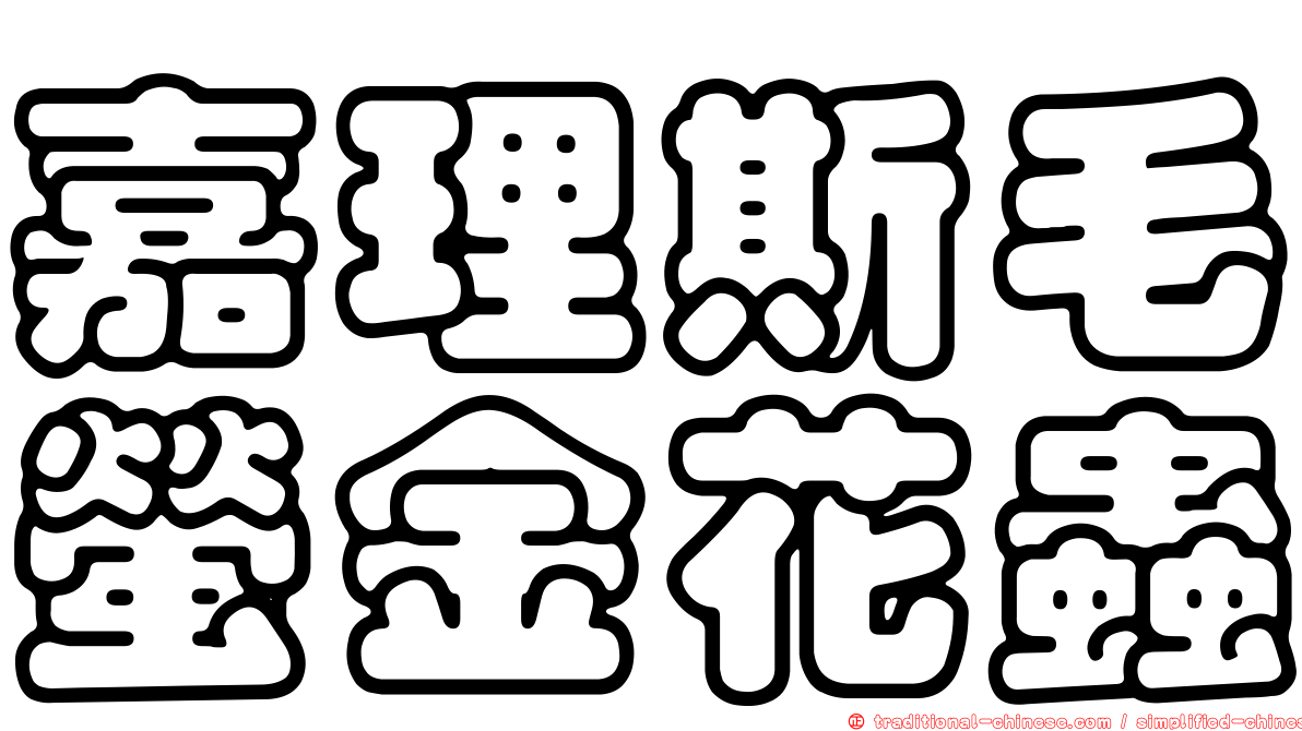 嘉理斯毛螢金花蟲
