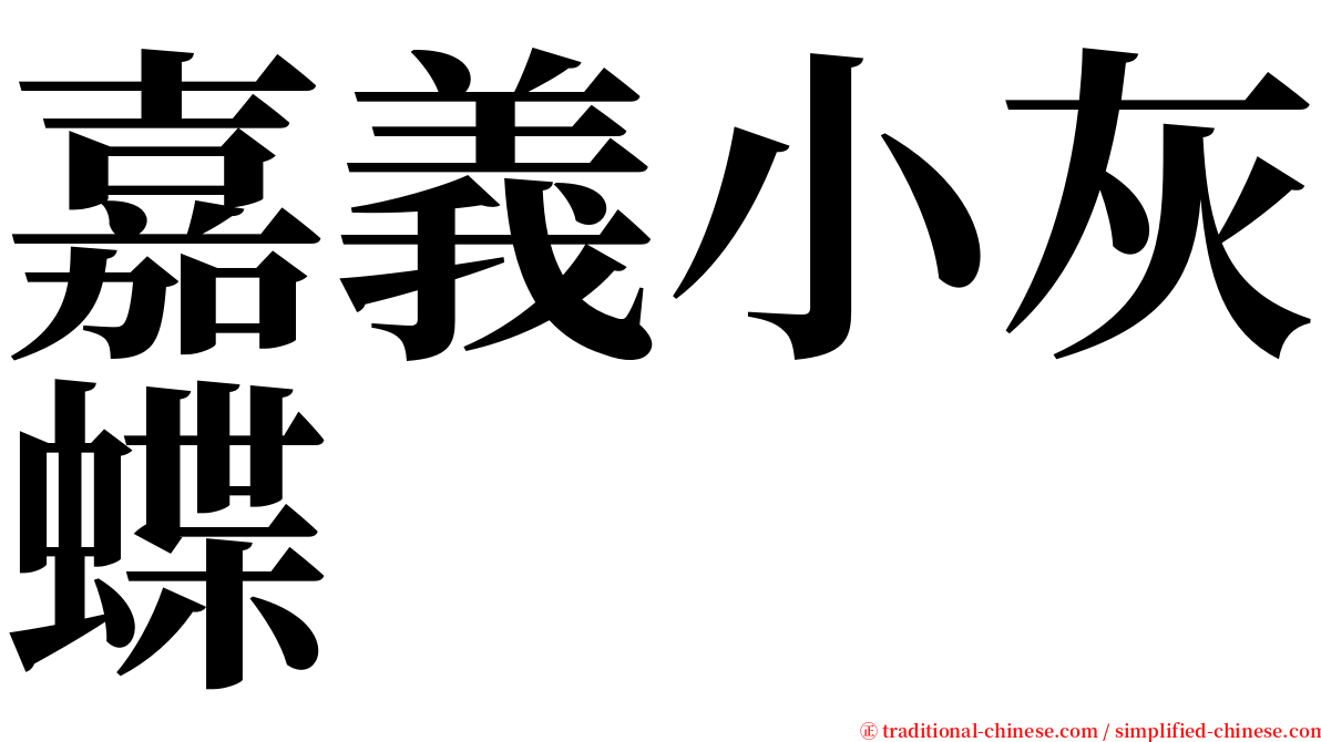 嘉義小灰蝶 serif font