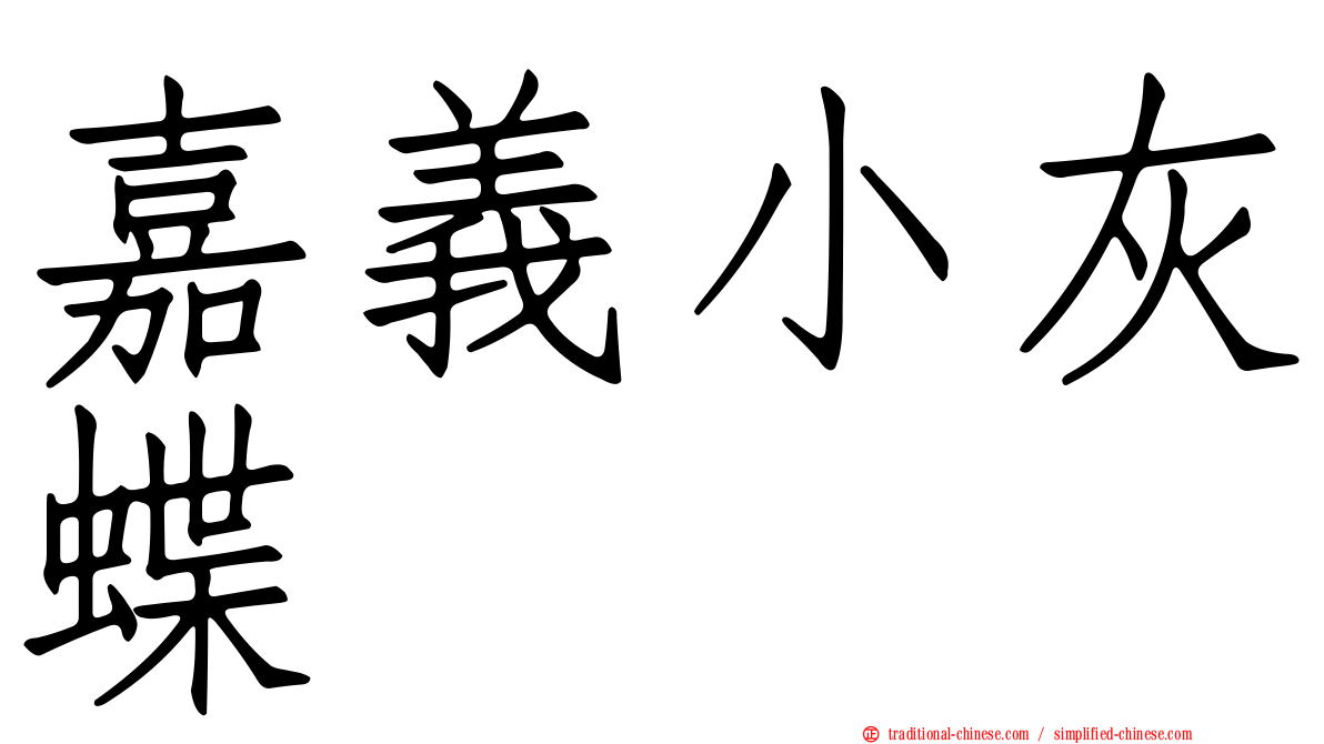 嘉義小灰蝶