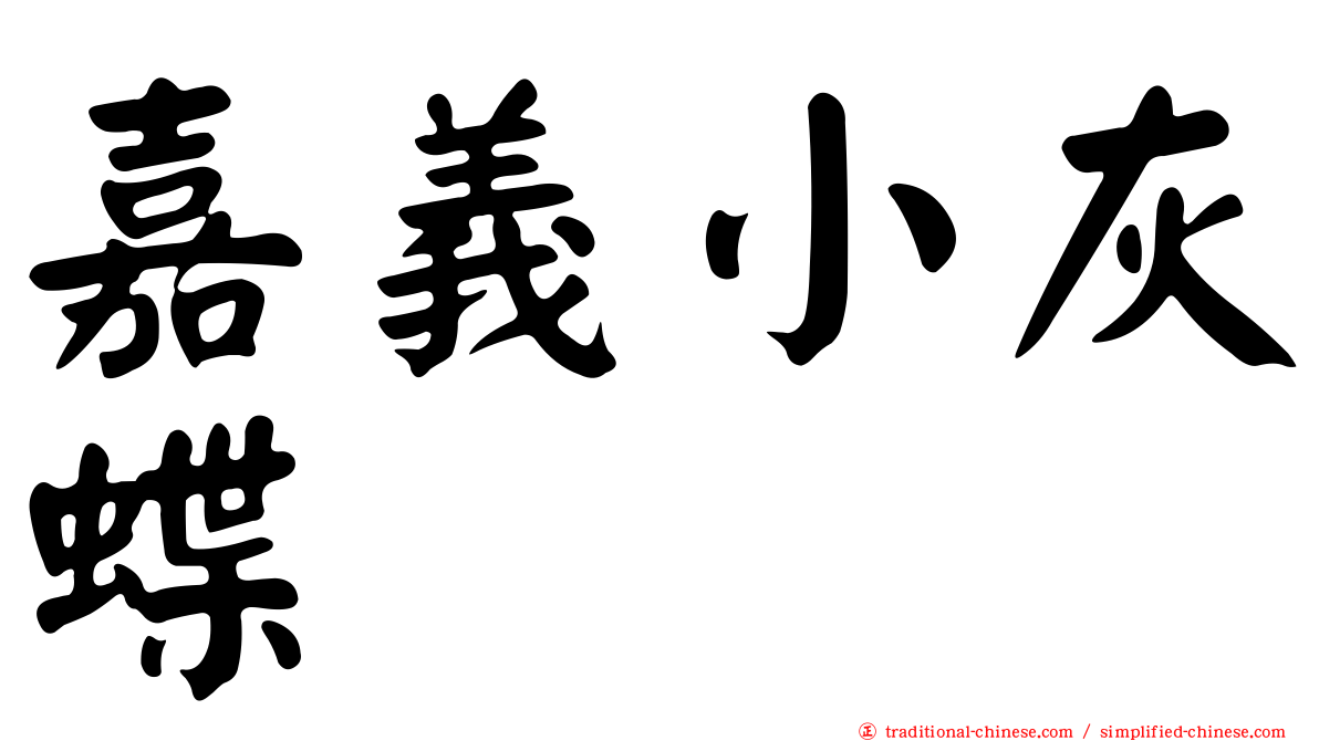 嘉義小灰蝶