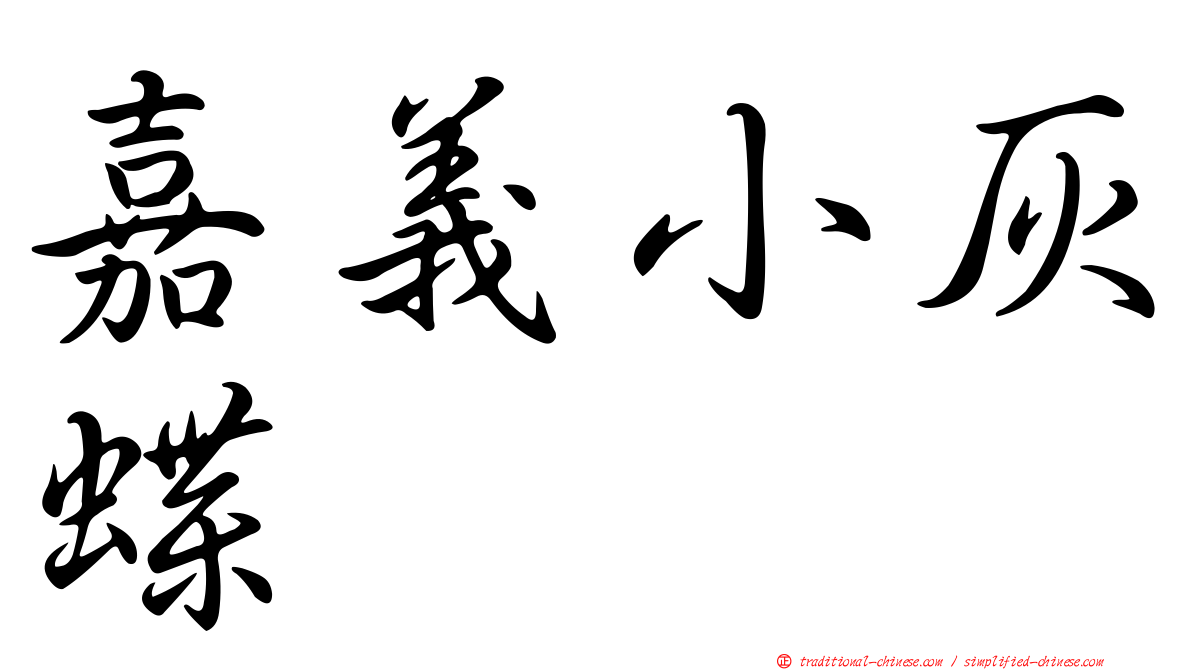 嘉義小灰蝶