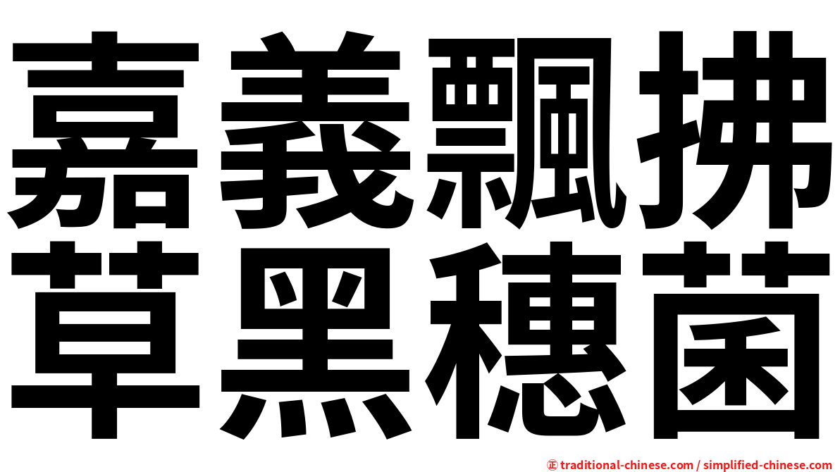 嘉義飄拂草黑穗菌