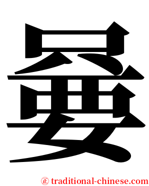 嘦 serif font