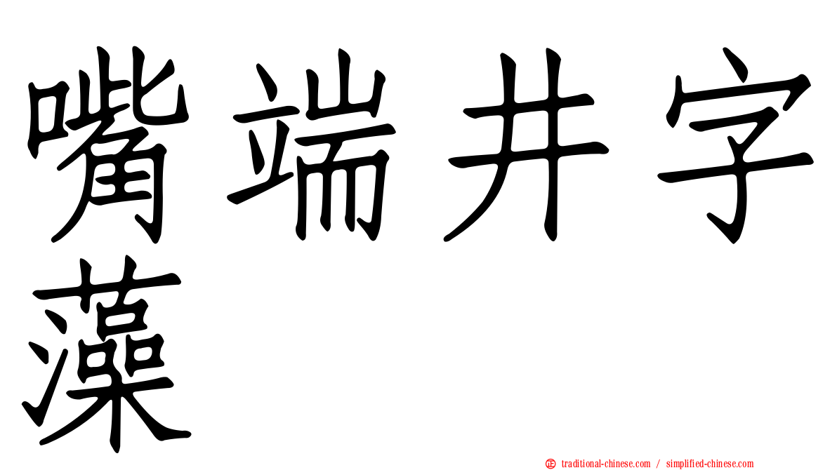 嘴端井字藻