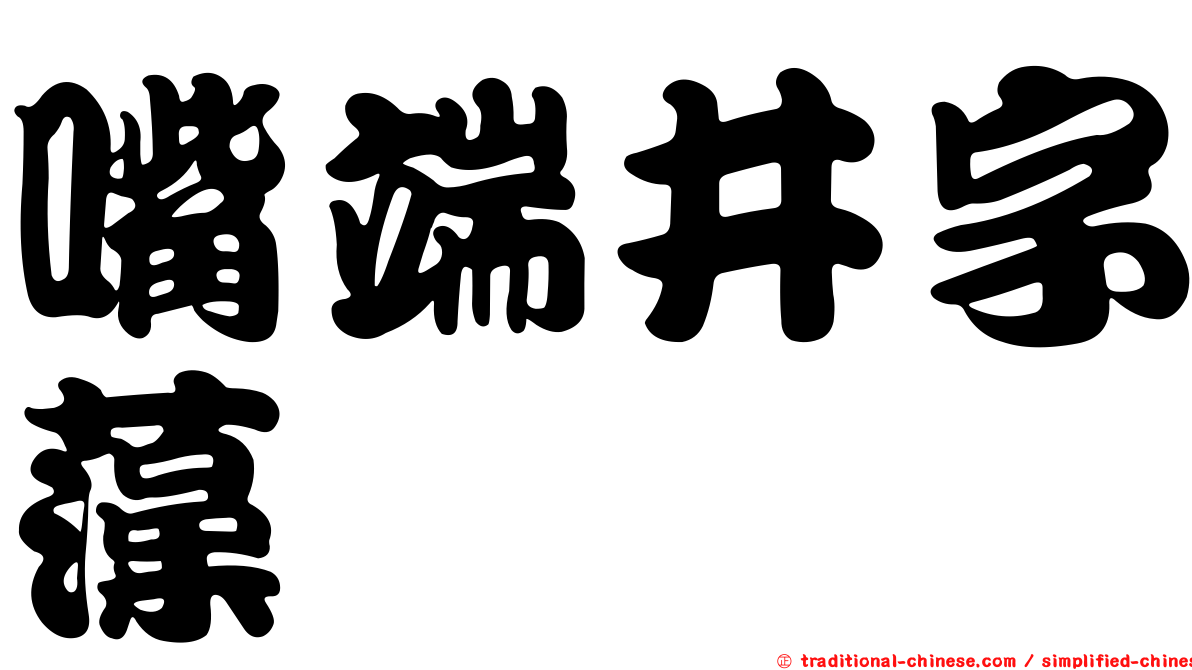 嘴端井字藻