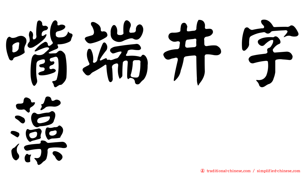 嘴端井字藻