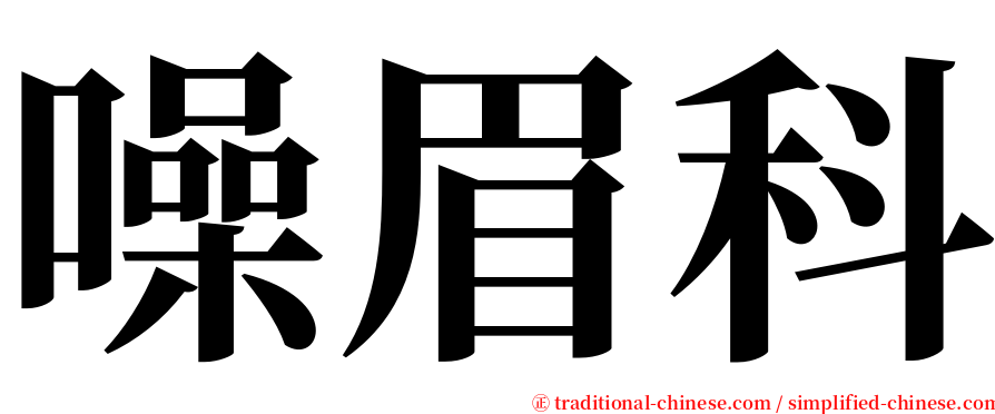 噪眉科 serif font