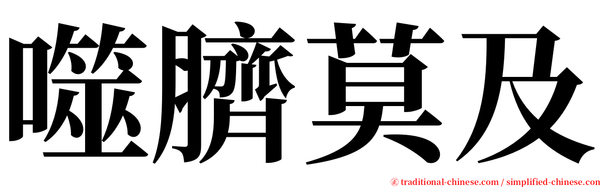 噬臍莫及 serif font