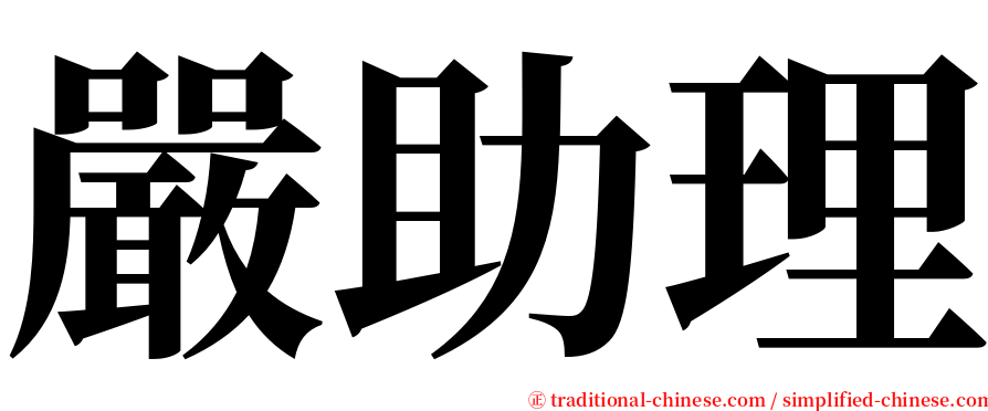 嚴助理 serif font