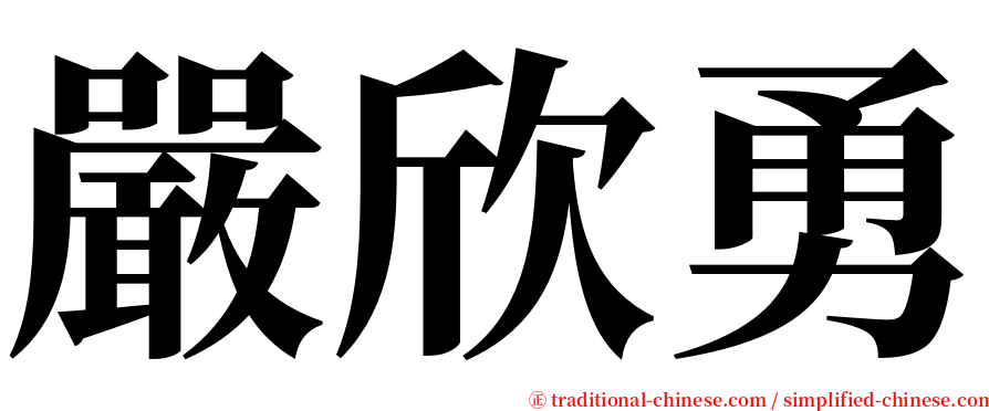 嚴欣勇 serif font