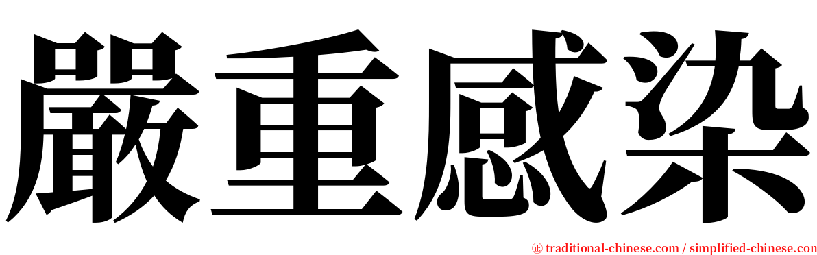 嚴重感染 serif font