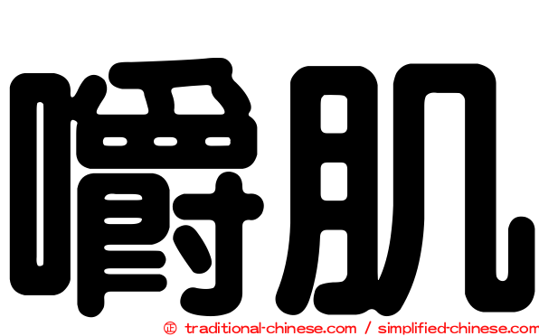 嚼肌