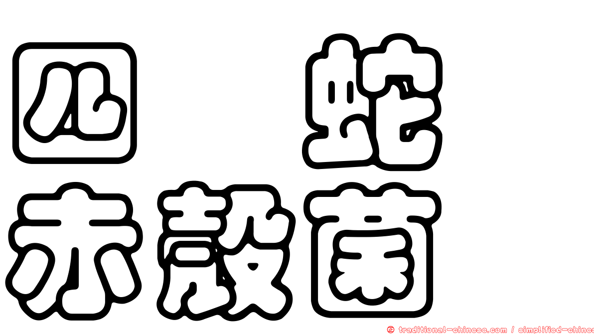 四孢蛇孢赤殼菌