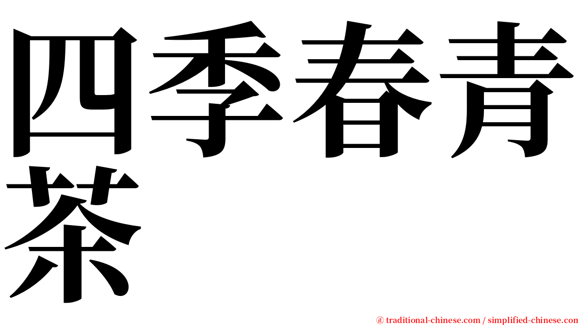 四季春青茶 serif font