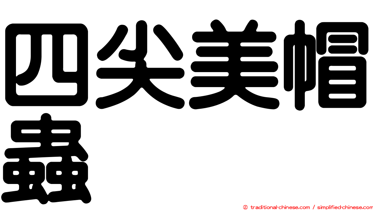四尖美帽蟲