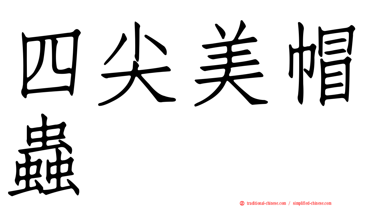 四尖美帽蟲