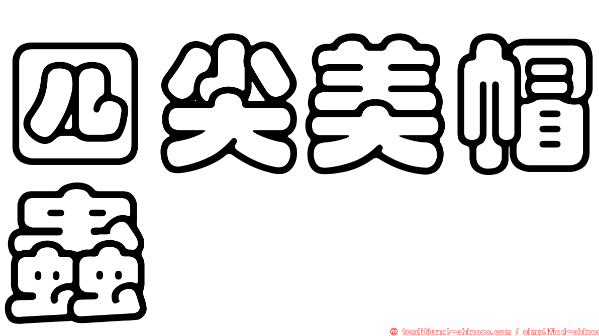 四尖美帽蟲
