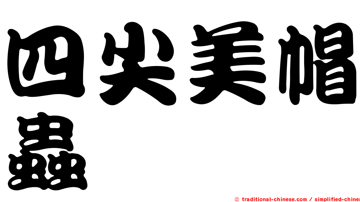 四尖美帽蟲