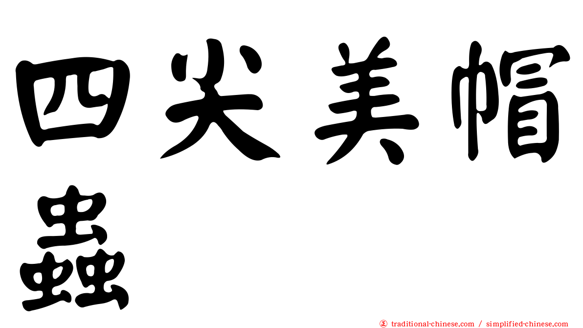 四尖美帽蟲