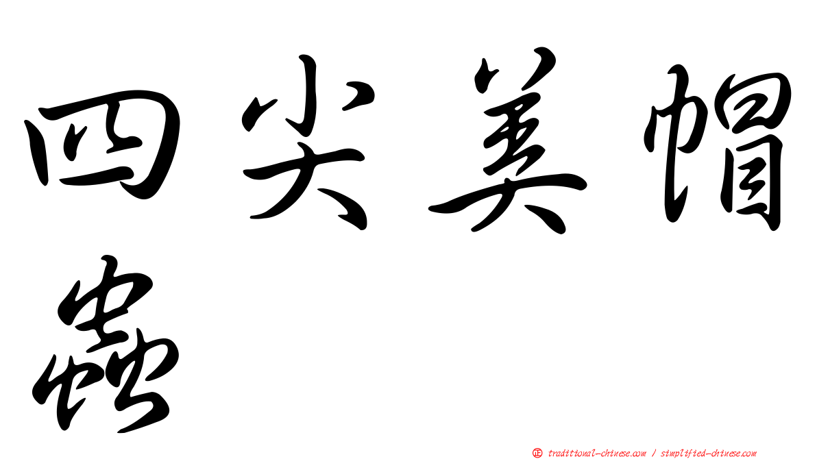 四尖美帽蟲