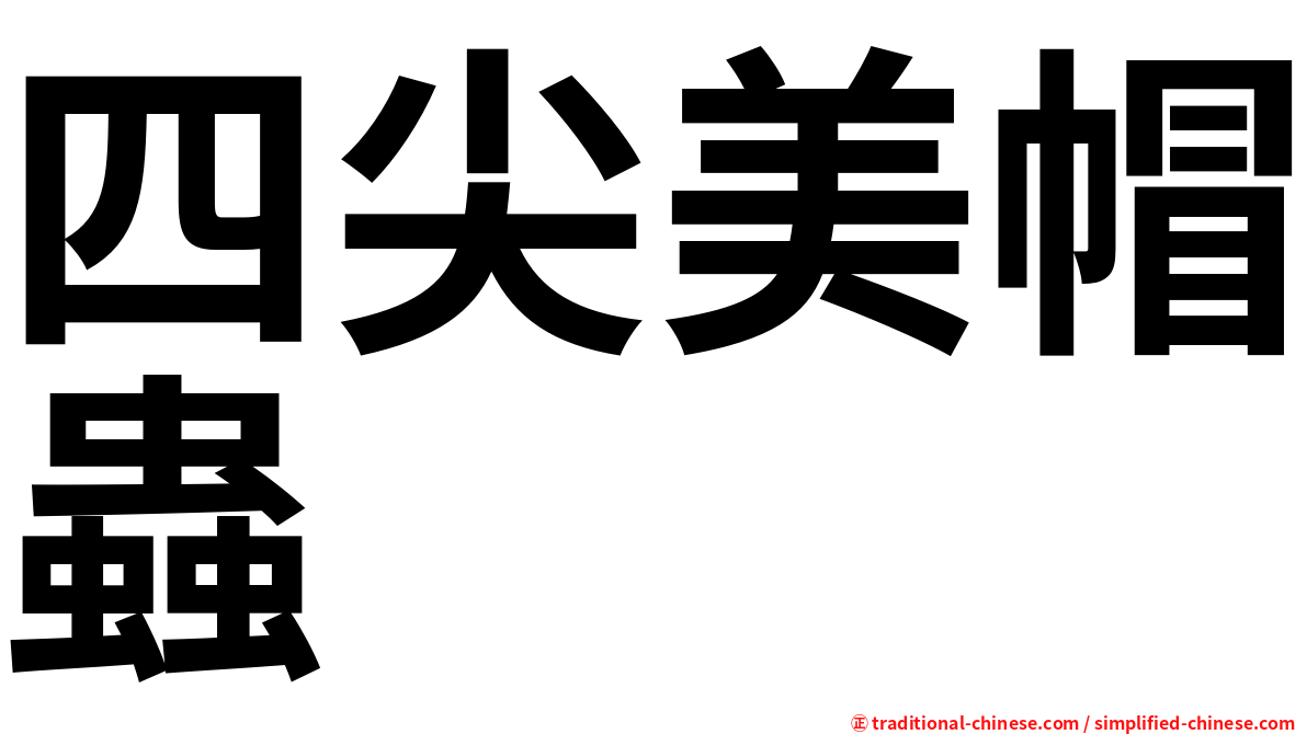 四尖美帽蟲
