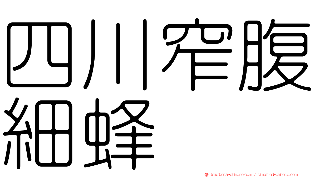 四川窄腹細蜂