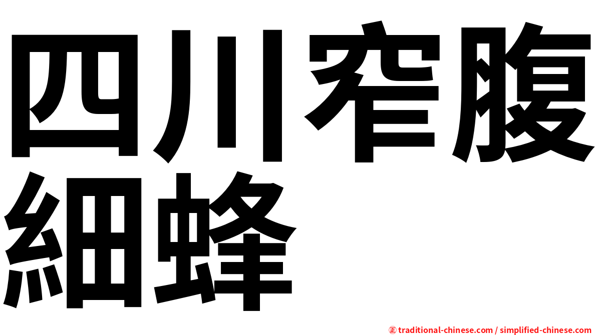 四川窄腹細蜂