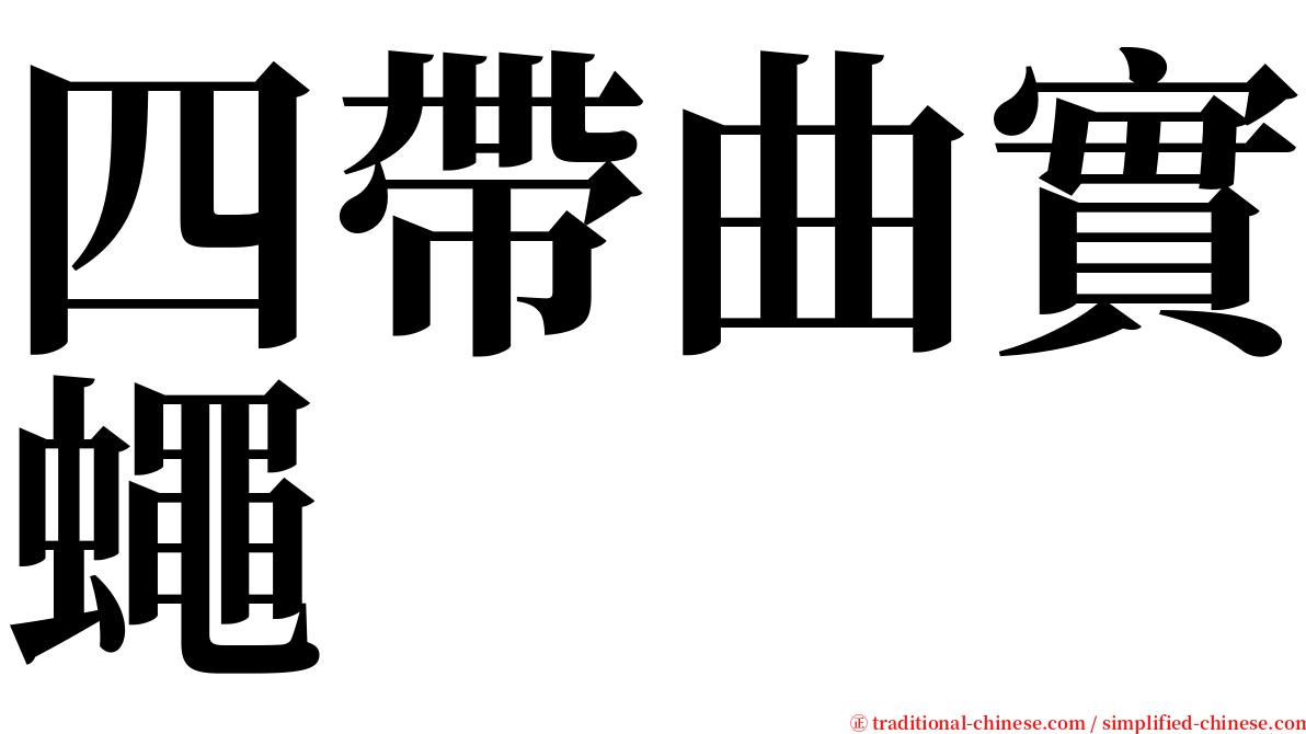 四帶曲實蠅 serif font
