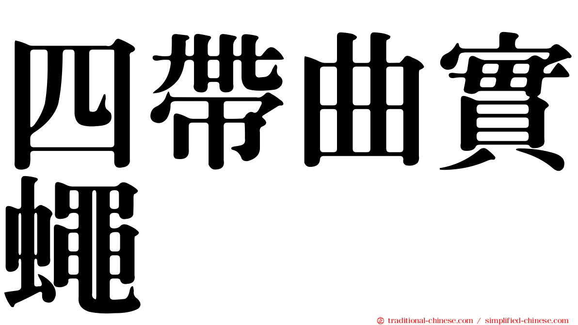 四帶曲實蠅