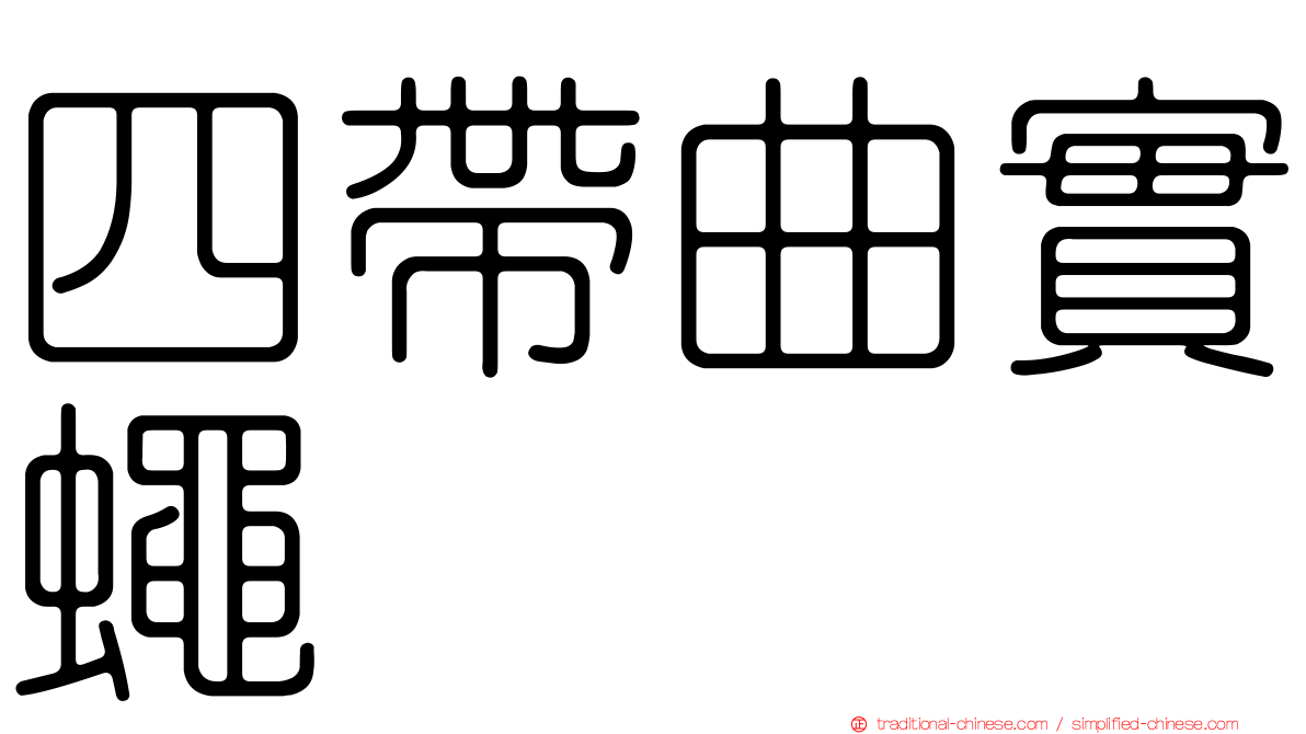 四帶曲實蠅