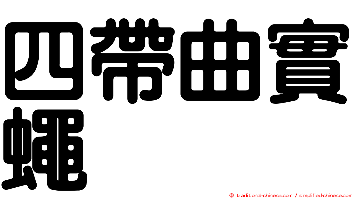 四帶曲實蠅