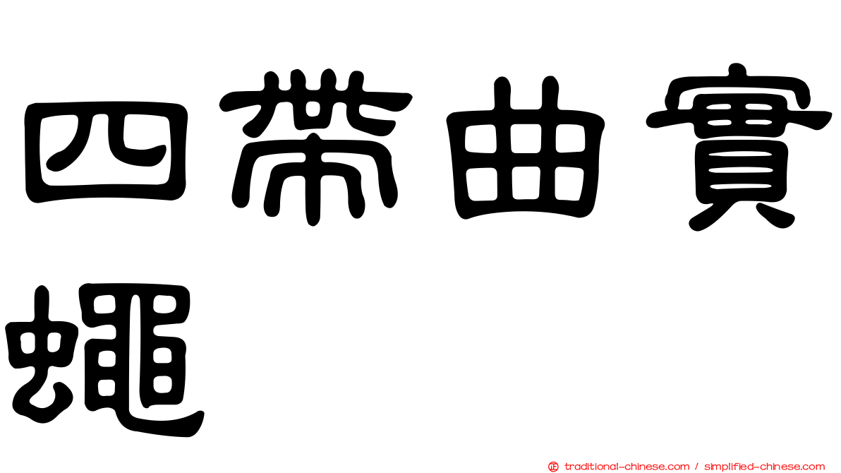 四帶曲實蠅