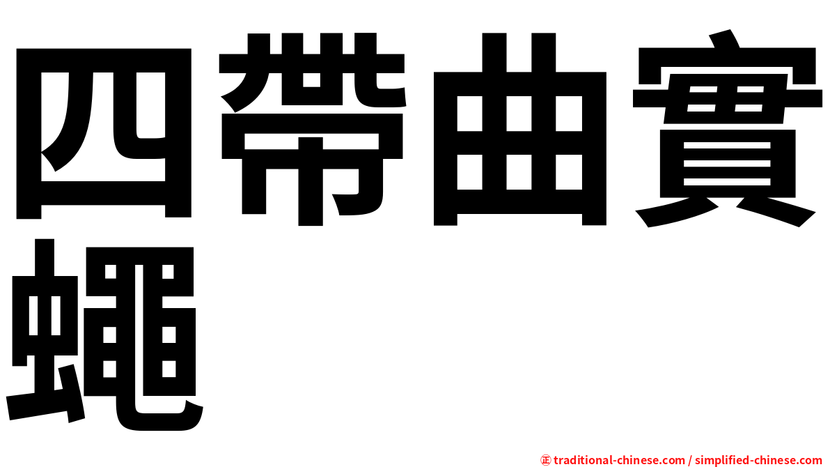 四帶曲實蠅
