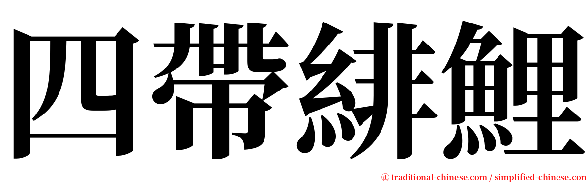 四帶緋鯉 serif font