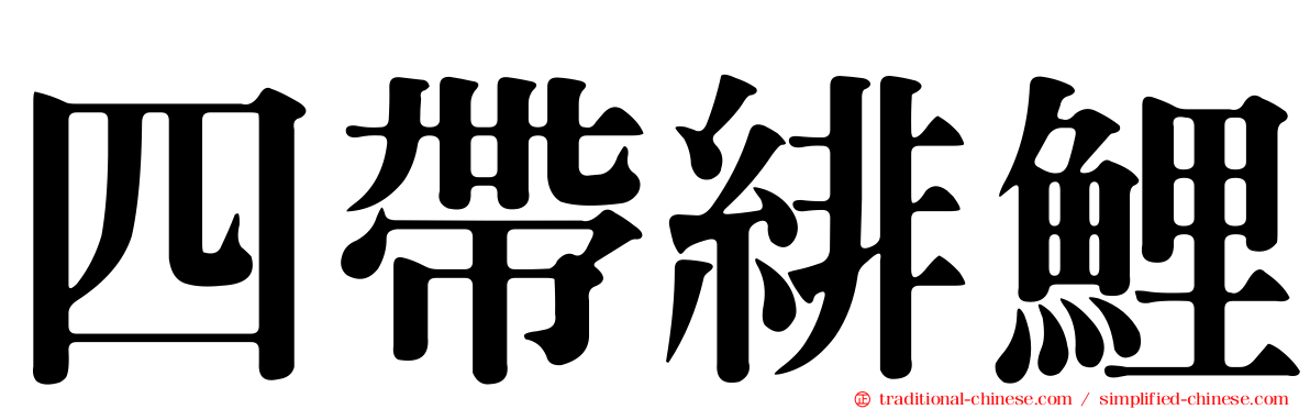四帶緋鯉