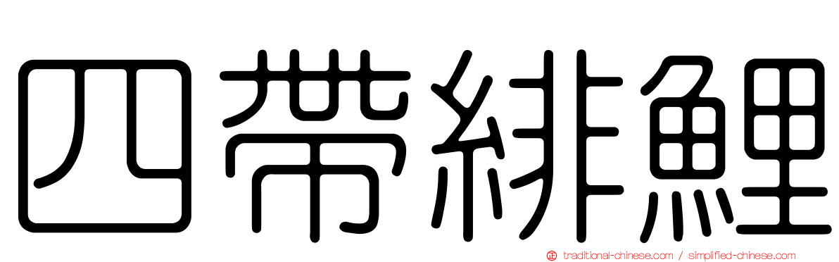 四帶緋鯉