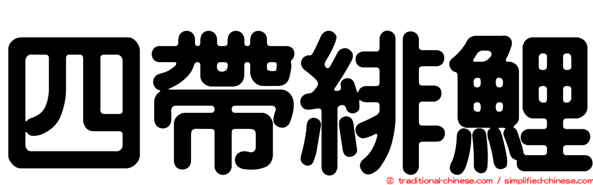 四帶緋鯉