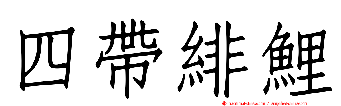 四帶緋鯉
