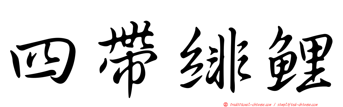 四帶緋鯉