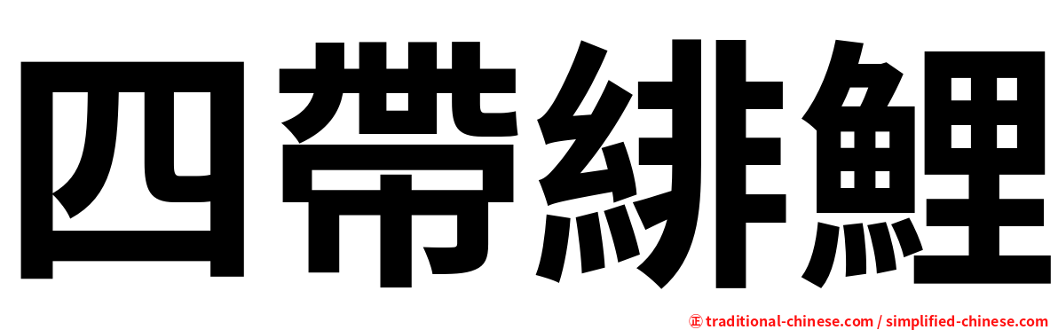 四帶緋鯉
