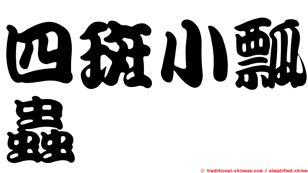 四斑小瓢蟲